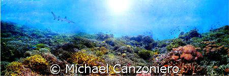 Merged three shots of a reef at Wakatobi by Michael Canzoniero 